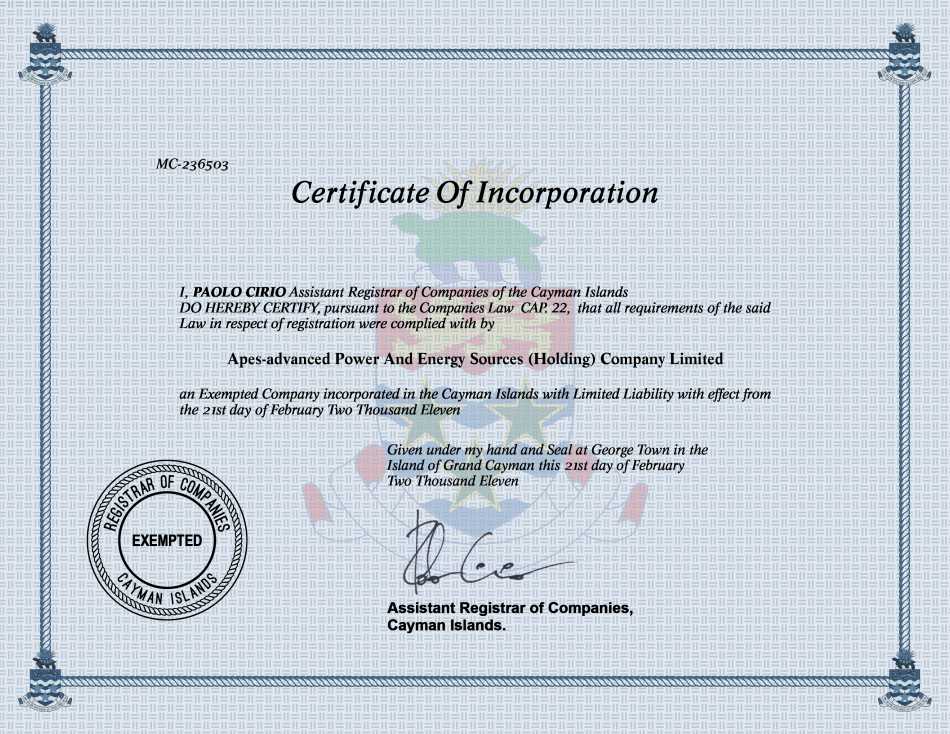 Apes-advanced Power And Energy Sources (Holding) Company Limited